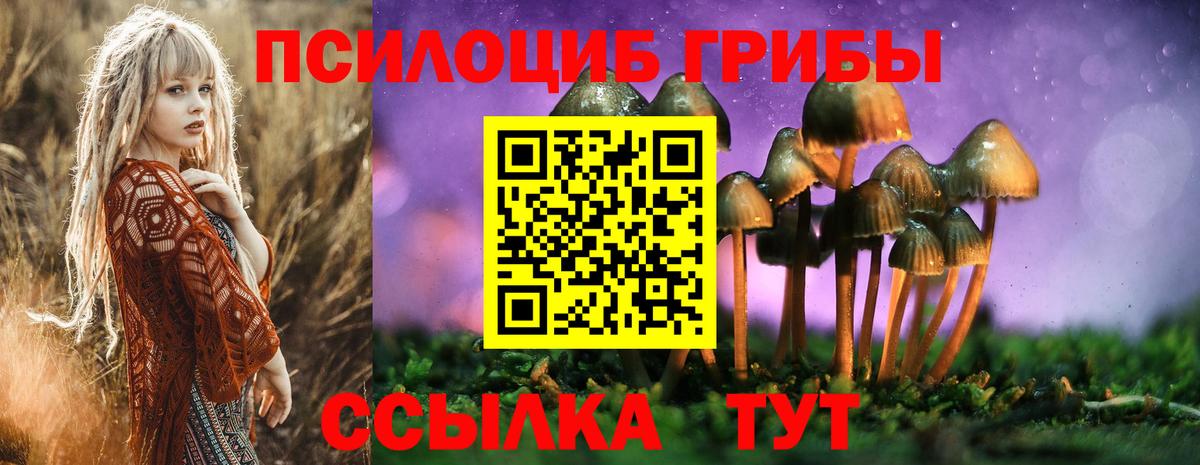 Псилоцибиновые грибы Magic Shrooms  Галлюциногенные грибы мухоморы  Видное  Вход с VPN 